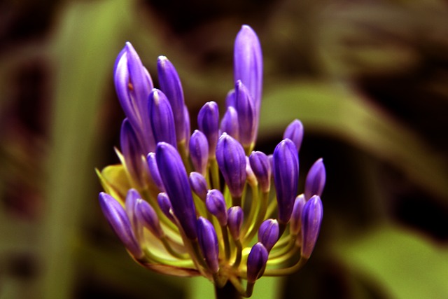 葡萄牙总统：C罗今天没来挺可惜的，他现在肯定特别遗憾