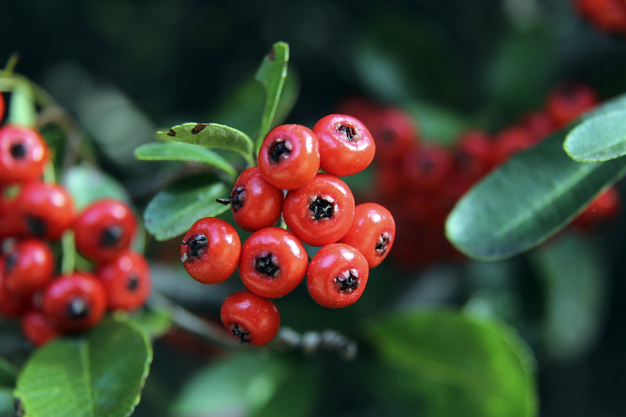 里程碑，弗拉泰西完成了代表国米的第100场比赛